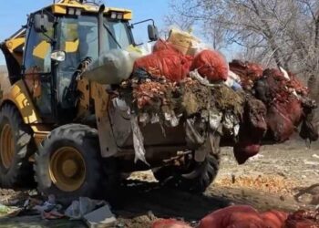 Борьбу со стихийными свалками усиливают в Жетісу