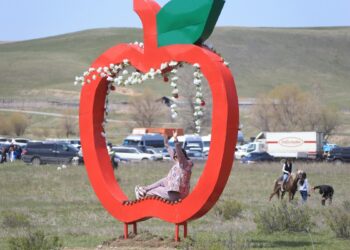 Сектор туризма в Жетісу проверили «на гостеприимство»