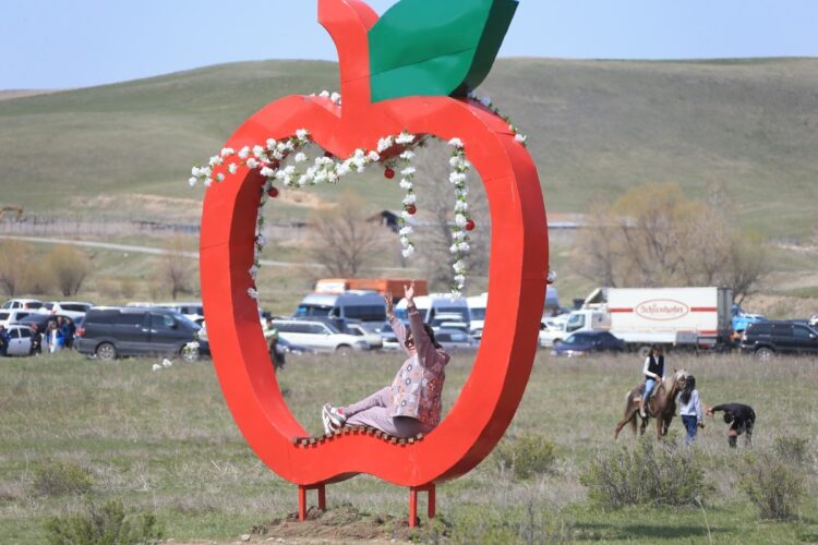 Сектор туризма в Жетісу проверили «на гостеприимство»