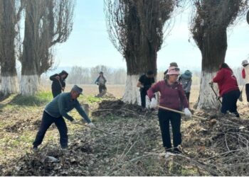 Жетісу выбирает чистоту