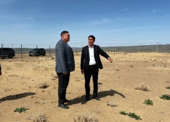 В Сарыбулаке обсудили проблемы песчаных заносов и развитие сельской инфраструктуры