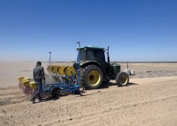Водосберегающие технологии на полях внедряют каратальские свекловоды