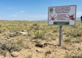 Жесткие ограничения на торговлю степными рептилиями ввели в Казахстане