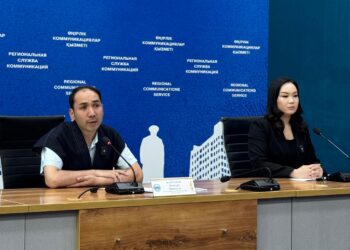 Цифровой щит для молодежи: в Жетісу запустили антинаркотический хаб