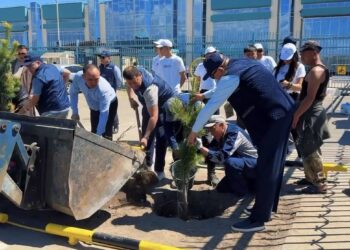 Экологическая акция по озеленению прошла в МЦПС «Хоргос»