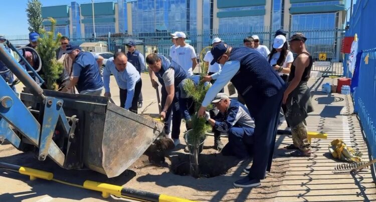 Экологическая акция по озеленению прошла в МЦПС «Хоргос»