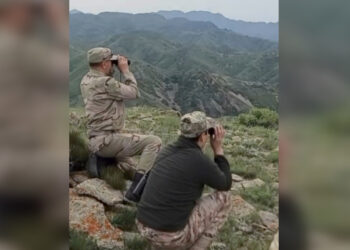 В нацпарке «Алтынемель» завершился учет сибирского горного козла