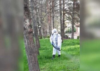 Жители Жетiсу стали чаще жаловаться на укусы клещей