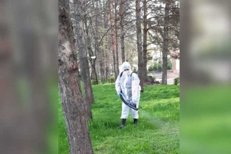 Жители Жетiсу стали чаще жаловаться на укусы клещей