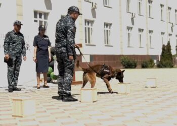 Работу по профилактике наркомании среди подростков продолжают в Жетісу