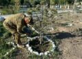 Военнослужащие «Қорғас» приняли участие в благоустройстве памятников героям войны