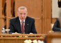 Президент Турции поддержал конституционные изменения в Казахстане