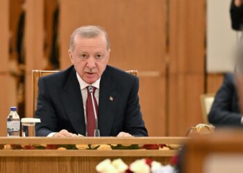 Президент Турции поддержал конституционные изменения в Казахстане