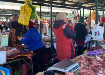 Мониторинг цен на продукты питания провели в Талдыкоргане
