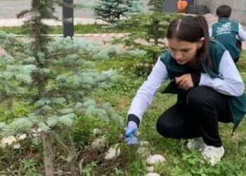 Молодежный отряд «Жасыл ел» приступил к летнему сезону в Текели