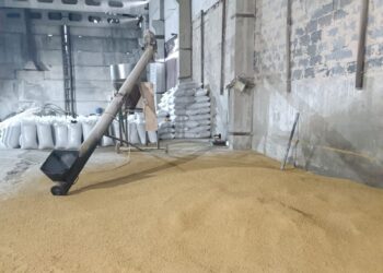 В Коксуском районе расширяют переработку сои и производство кормов