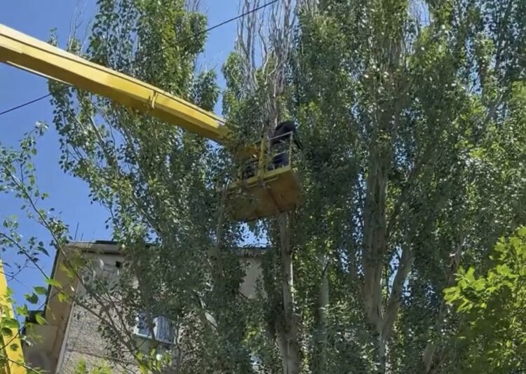 В Текели усилили уход за зелеными насаждениями