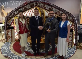 Казахский тазы покоряет мировую арену кинологии в Болонье
