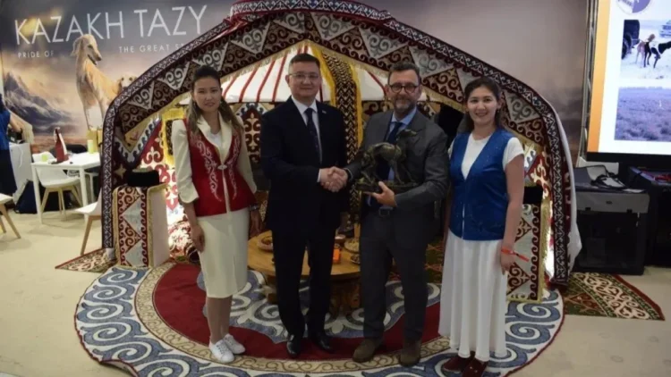 Казахский тазы покоряет мировую арену кинологии в Болонье