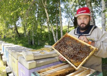 Сарканский пчеловод покоряет казахстанский рынок