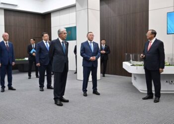 Президенту представили ход развития города Алатау