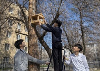 Как в Жетісу воспитывают бережное отношение к природе