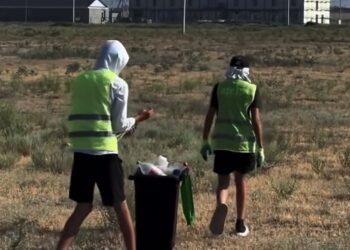На побережье Алаколя провели масштабную экологическую акцию