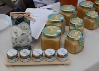 Медовый завод в селе Лепсы покоряет рынок натуральной косметики