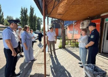 В области Жетісу усиливают экологический контроль