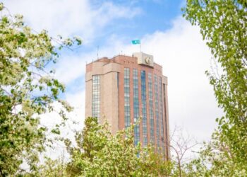 МВД РК подвело итоги ОПМ «Қауіпсіз үй»