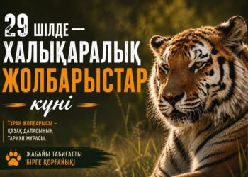 Легенда Великой степи возвращается: Казахстан возрождает популяцию туранского тигра