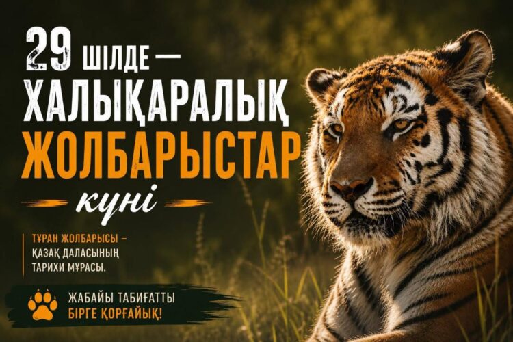 Легенда Великой степи возвращается: Казахстан возрождает популяцию туранского тигра