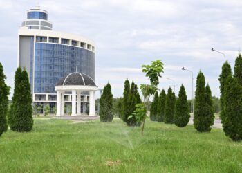 Как автополив и арыки спасают зелень от жары в Талдыкоргане