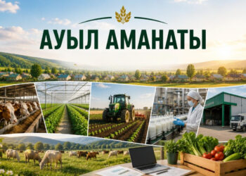 В Жетісу идет прием заявок по программе «Ауыл аманаты»