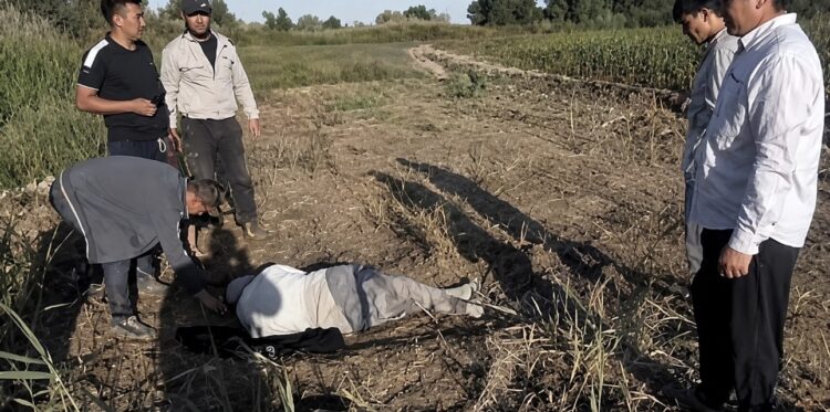 Спасатели с помощью дрона нашли пропавшего пенсионера в Жетісу