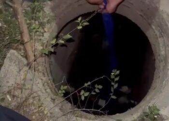 Полицейские Талдыкоргана спасли 14-летнюю девочку, упавшую в открытый колодец