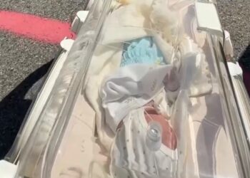 Санавиация Жетісу экстренно эвакуировала недоношенного новорождённого из Жаркента