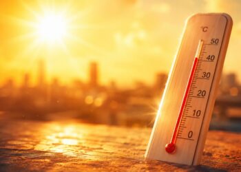 До +40°: Жетысусцев предупреждают о сильной жаре