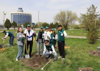 Более 600 бойцов отрядов «Жасыл ел» благоустраивают города и сёла в Жетісу