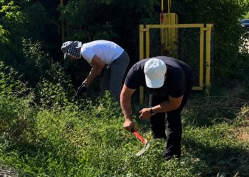 Семь тонн мусора вывезли в Каратальском районе
