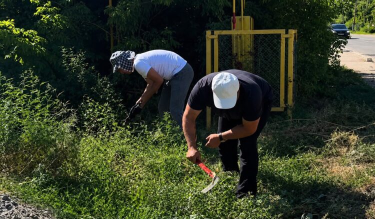Семь тонн мусора вывезли в Каратальском районе