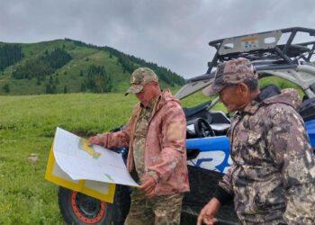 Сохраняя уникальную природу Жетісу: меры предосторожности при встречах с редкими хищниками