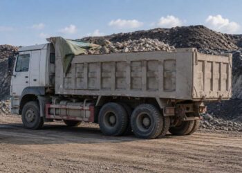 Незаконная добыча природных ресурсов пресечена в Жетісу
