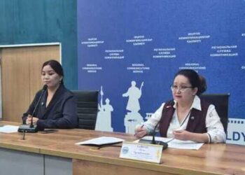 Кого коснется амнистия административных штрафов: разъяснения ДГД области Жетісу