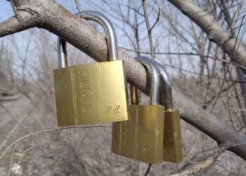 Замки на ветках: новая загадка набережной Каратала