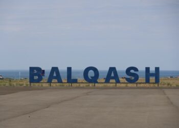 «Таза Қазақстан»: Более 70 человек очистили побережье Балхаша от мусора