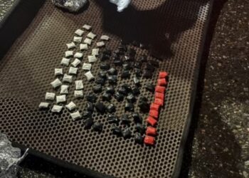 В Жетісу задержали 19-летнего подозреваемого в распространении наркотиков