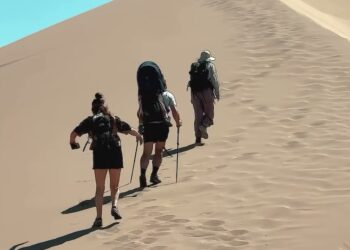Зарубежные участники TBEX Asia 2026 открыли для себя Жетісу