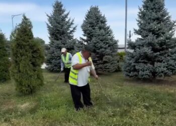 Масштабный полив зеленых насаждений проводят ежедневно в Талдыкоргане