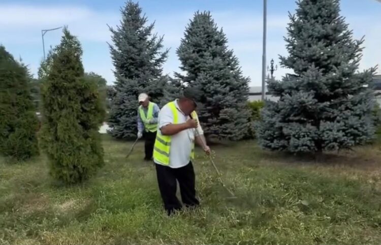Масштабный полив зеленых насаждений проводят  ежедневно в Талдыкоргане